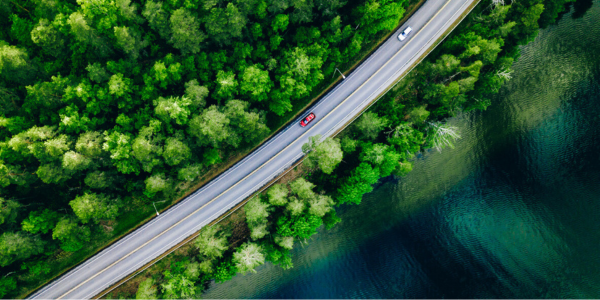 road-through-forest-and-lake