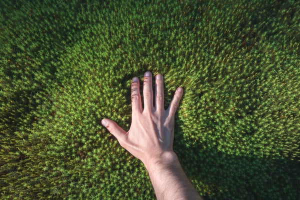 hand-touching-grass