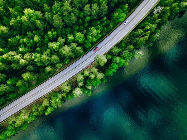 road-through-forest