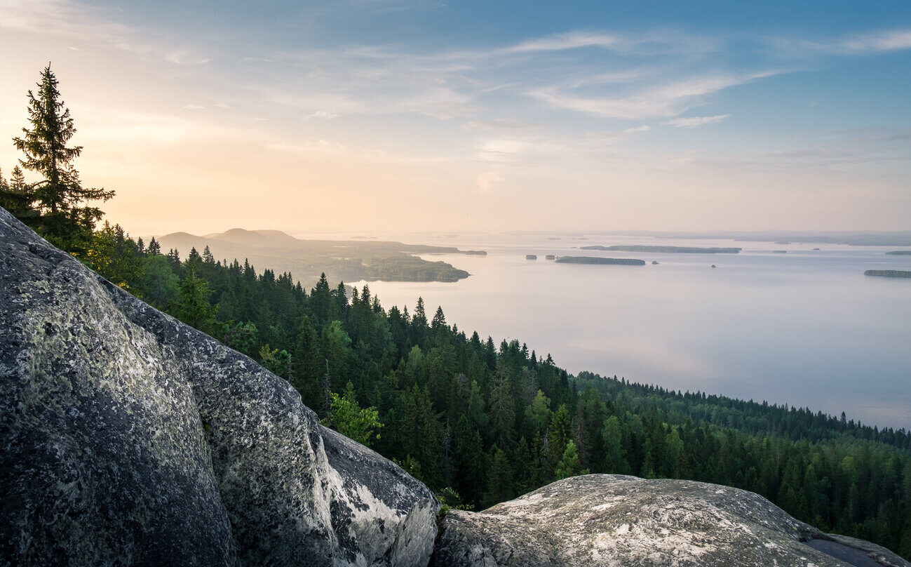 forest-and-lake