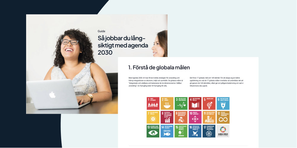 Så Jobbar Du Långsiktigt Med Agenda 2030 - Stratsys